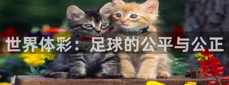 亚洲杯比赛直播：世界体彩：足球的公平与公正