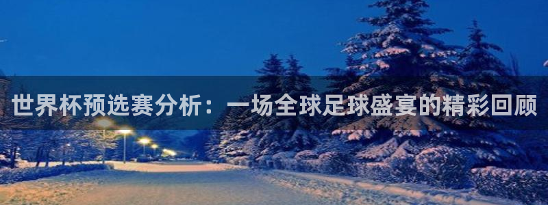 2026世界杯32强对阵图表：世界杯预选赛分析：一场全球足球盛宴的精彩回顾