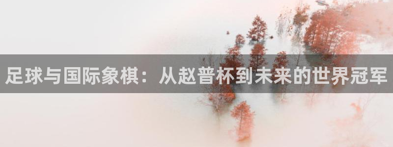 世界杯对阵图2026：足球与国际象棋：从赵普杯到未来的世界冠军