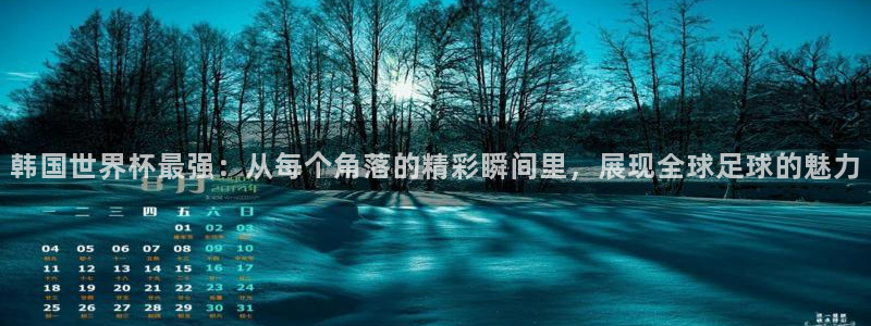 世界杯预赛赛程：韩国世界杯最强：从每个角落的精彩瞬间里，展现全球足球的魅力