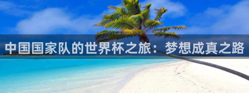 世界杯 直播：中国国家队的世界杯之旅：梦想成真之路