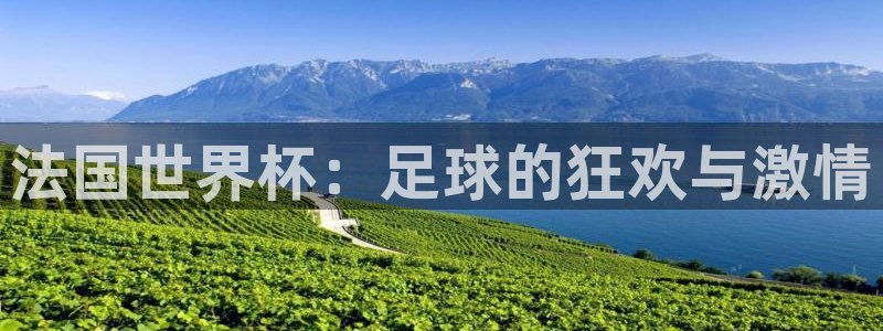 世界杯2026赛程时间表格：法国世界杯：足球的狂欢与激情
