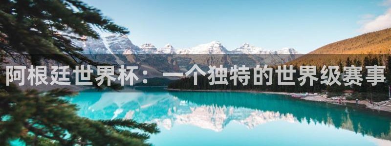 2026世界杯32强对阵图表：阿根廷世界杯：一个独特的世界级赛事