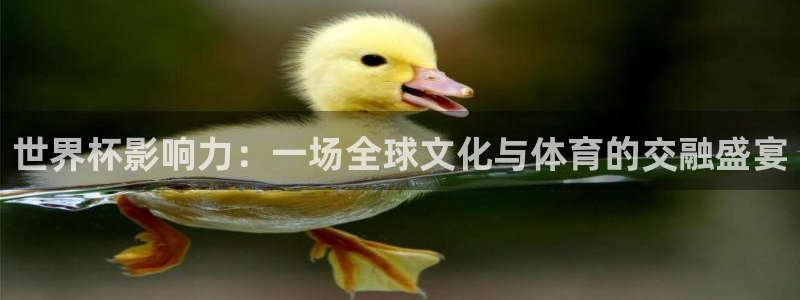 今天所有足球赛程表：世界杯影响力：一场全球文化与体育的交融盛宴