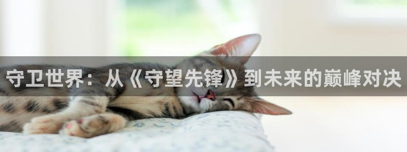2026世界杯赛：守卫世界：从《守望先锋》到未来的巅峰对决