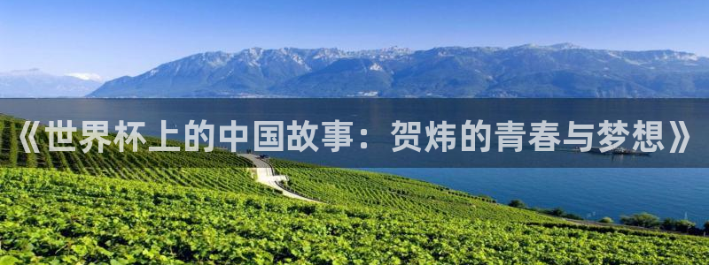 世界杯在线直播入口：《世界杯上的中国故事：贺炜的青春与梦想》