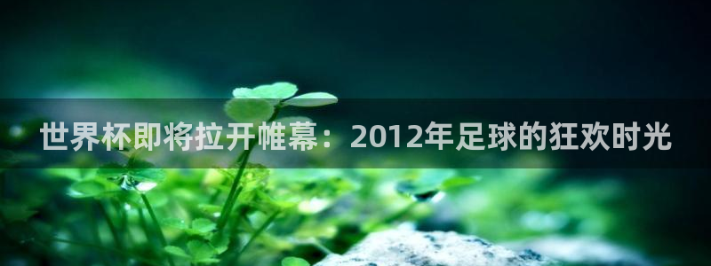 女足世界杯直播在线观看免费高清：世界杯即将拉开帷幕：2012年足球的狂欢时光