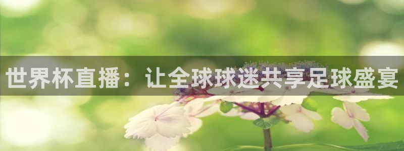 世界杯亚洲区预选赛赛程：世界杯直播：让全球球迷共享足球盛宴